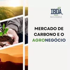 curso mercado de carbono