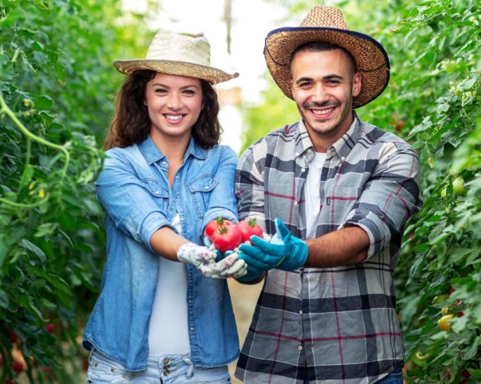 Responsabilidade Social no Agronegócio. Reprodução: canva