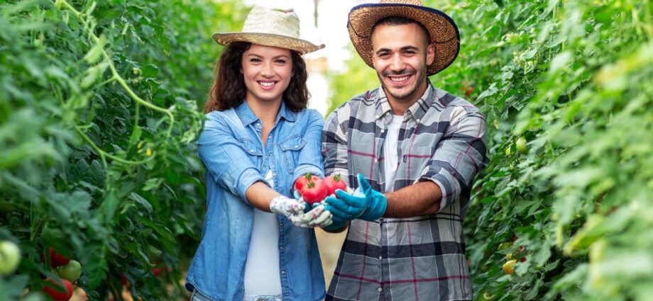 Responsabilidade Social no Agronegócio. Reprodução: canva