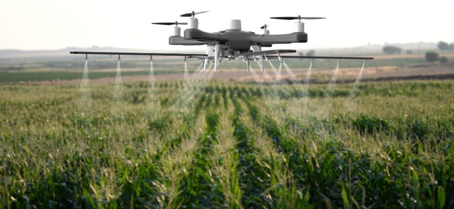 Como os Drones são usados na Agricultura. Reprodução: canva