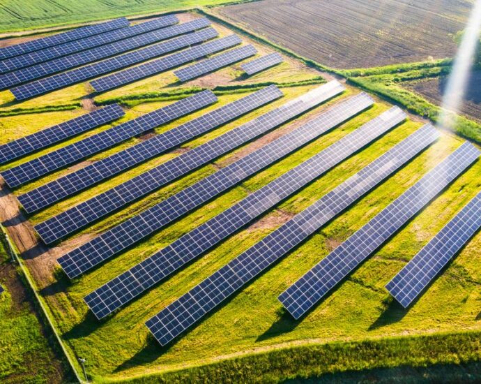 Fazenda de Energia Solar: o que é e quanto custa? Reprodução: canva