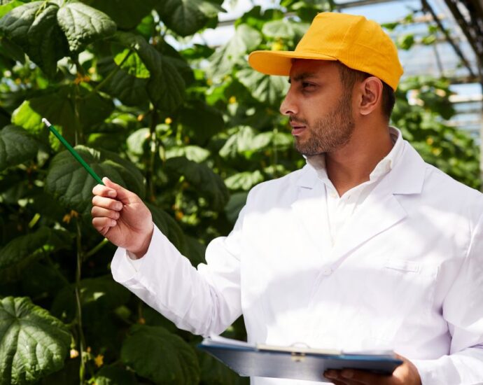 O que é Conecta Agro? A solução que o campo esperava. Reprodução: canva