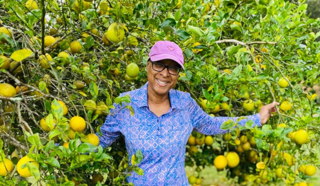 Fruticultura Brasileira — Imagem: Canva/Reprodução