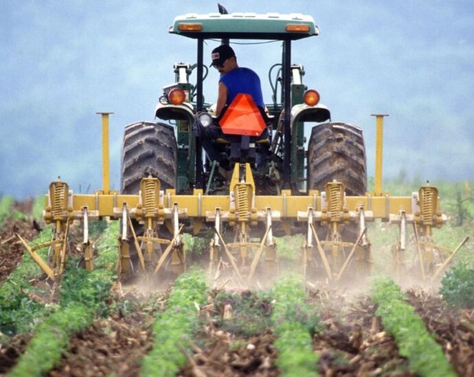 Manejo do Solo na Agricultura — Imagem: Canva/Reprodução