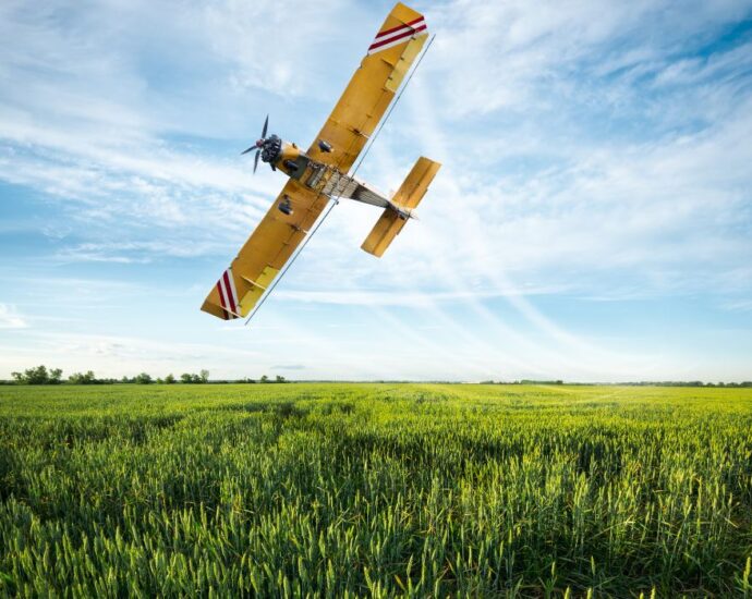 Aviação agrícola: como funciona? — Imagem: Canva/Reprodução